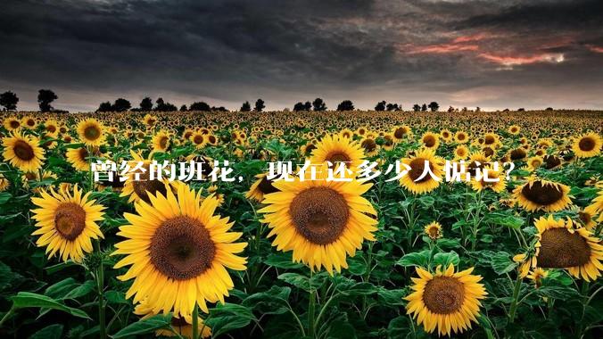 曾经的班花,现在还多少人惦记?