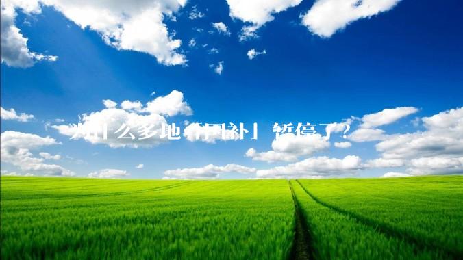 为什么多地「国补」暂停了?