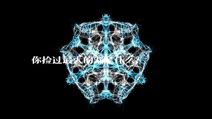 你捡过最大的漏是什么?