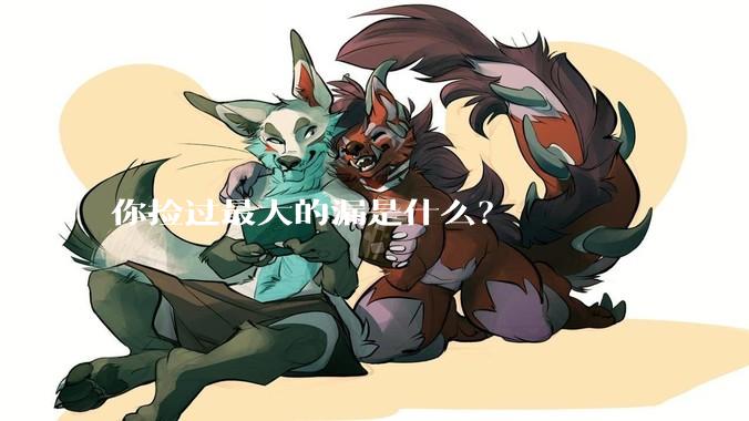 你捡过最大的漏是什么?