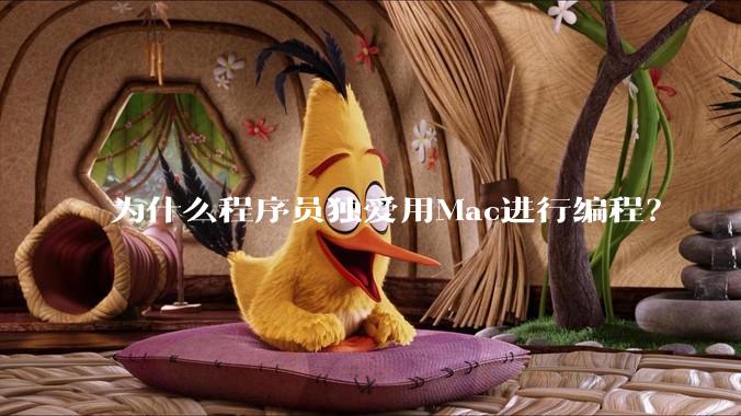 为什么程序员独爱用Mac进行编程?