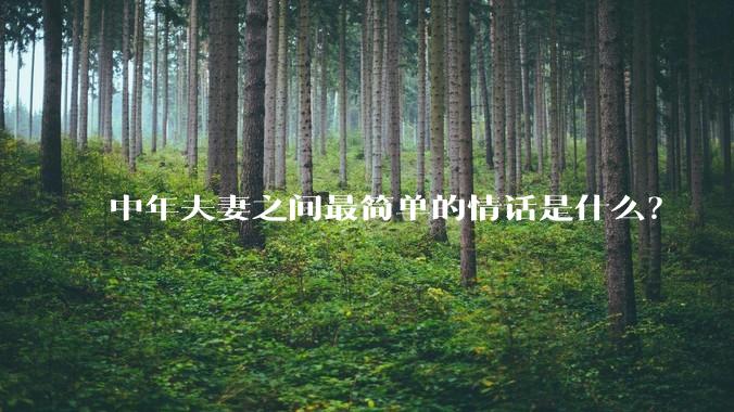 中年夫妻之间最简单的情话是什么?