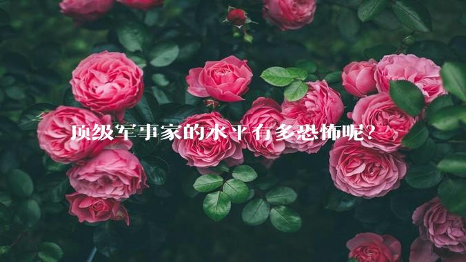 顶级军事家的水平有多恐怖呢?