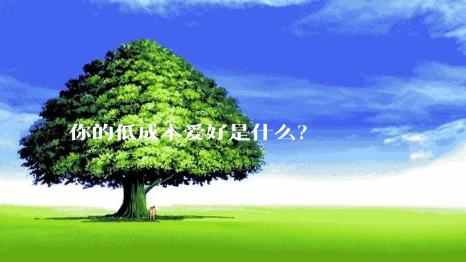 你的低成本爱好是什么?