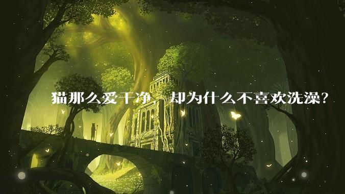 猫那么爱干净,却为什么不喜欢洗澡?