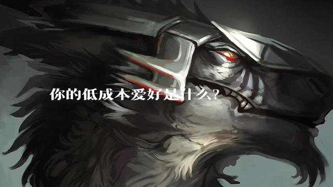你的低成本爱好是什么?