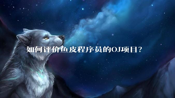 如何评价鱼皮程序员的OJ项目?