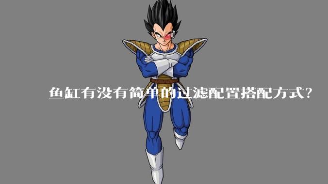 鱼缸有没有简单的过滤配置搭配方式?