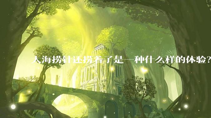 大海捞针还捞着了是一种什么样的体验?