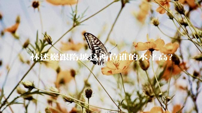 林述巍跟隋坡这两位谁的水平高?