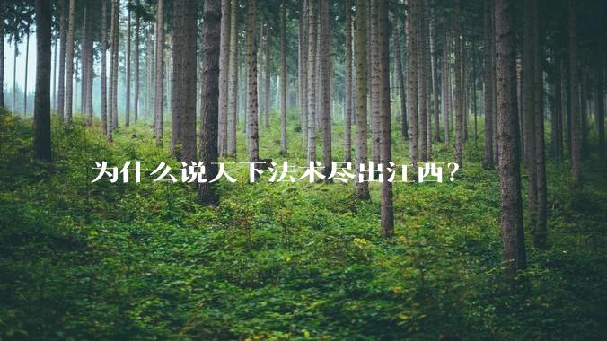 为什么说天下法术尽出江西?
