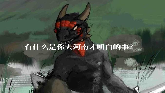 有什么是你去河南才明白的事?