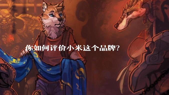 你如何评价小米这个品牌?