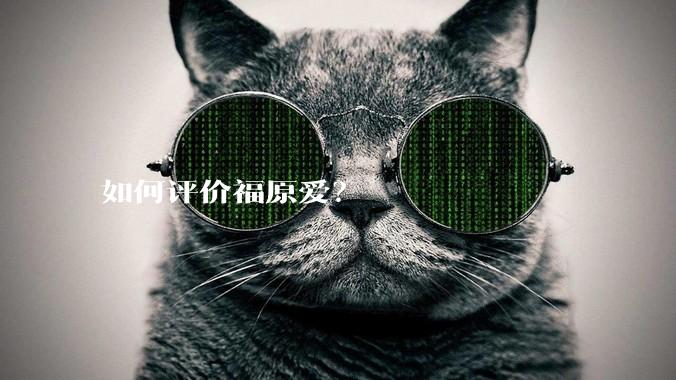 如何评价福原爱?