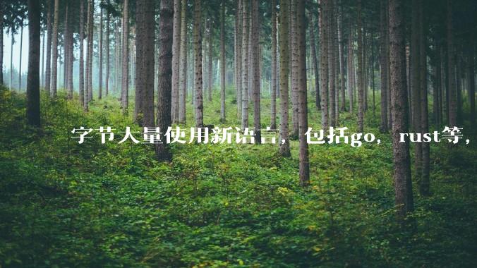 字节大量使用新语言,包括go,rust等,为什么阿里一直都抱着j***a不松手?