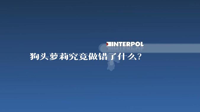 狗头萝莉究竟做错了什么?
