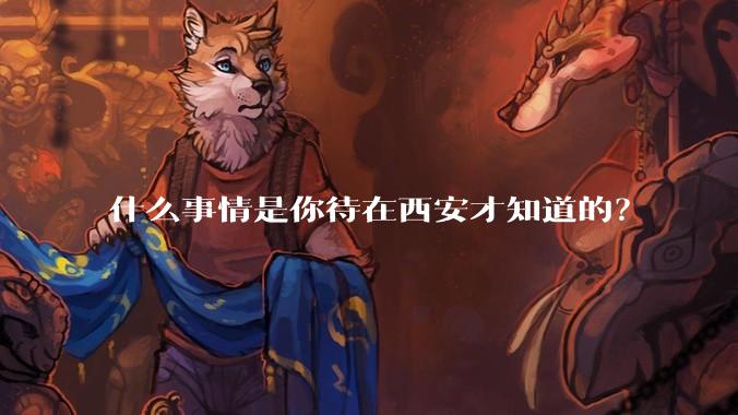 什么事情是你待在西安才知道的?