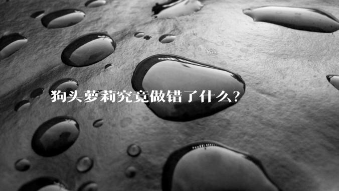 狗头萝莉究竟做错了什么?