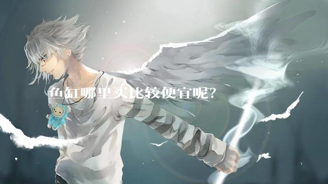 鱼缸哪里买比较便宜呢?