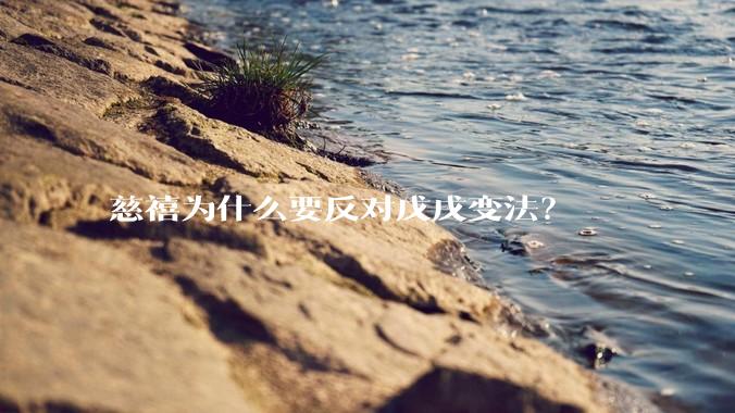 慈禧为什么要反对戊戌变法?