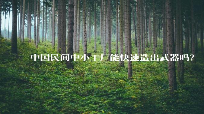 中国民间中小工厂能快速造出武器吗?